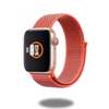 Sport Electric Loop Bands